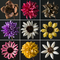 Dried flower decoration ornaments natural real flower handmade flower arrangement diy material home living room ornaments Chinese Lotus Lotus