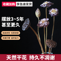 Natural Lotus purse decoration ornaments Lotus Leaf Lotus living room study Zen furnishings folk wind retro floor flowers