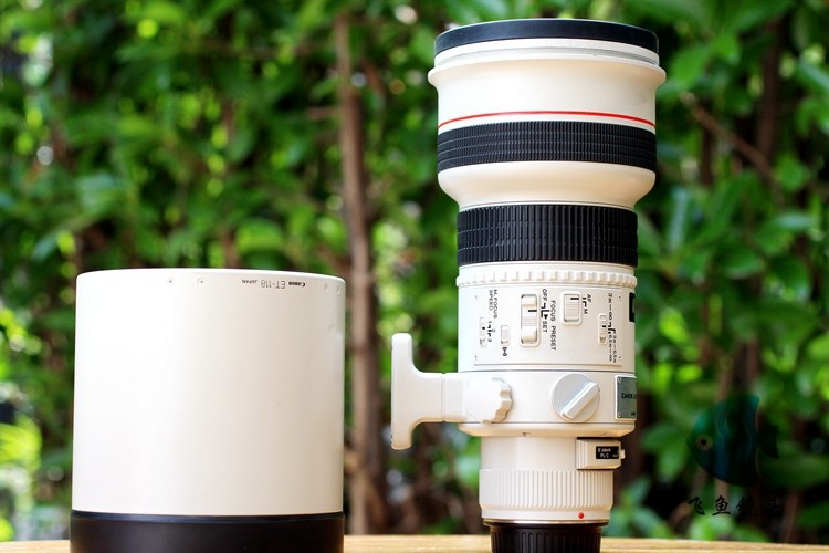 Canon EF 300 2 8 L USM 328600 5 6 Changjiao Secondhand Shots of Bird Shots