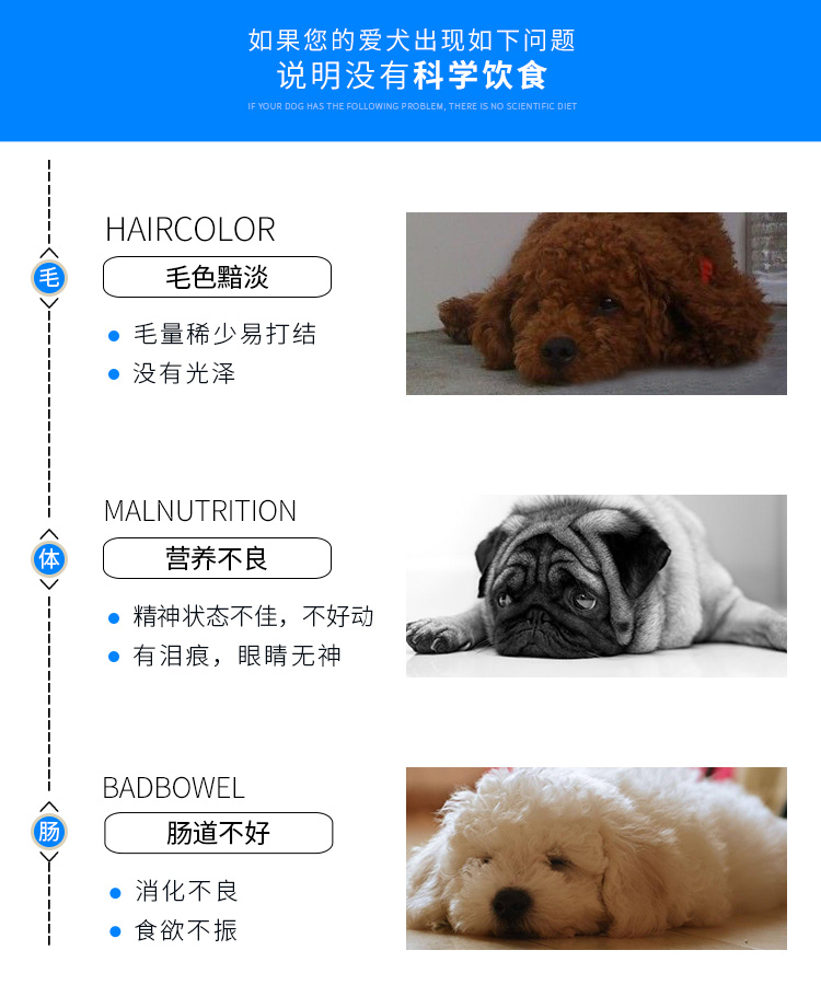 Pet Beizhi Ngũ cốc dinh dưỡng Tất cả các loại chó Tổng giá đầy đủ Thiếu sữa Bánh con chó Pet Thức ăn cho chó 3 kg - Chó Staples đồ ăn cho chó