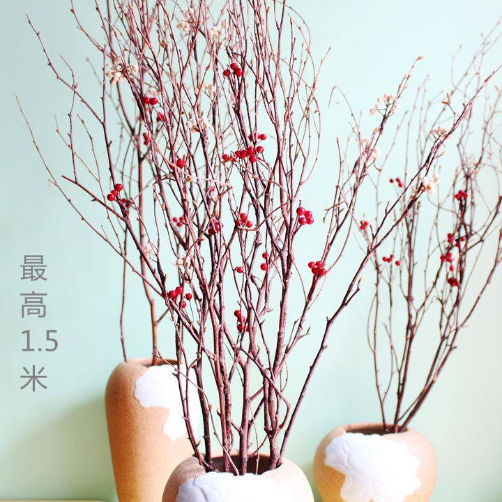 Zen Living Room Floor Vase Flower Small Red Beans Natural