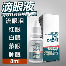 Reptile water turtle Tortoise climbing pet Eye drops Red eyes White eyes Swollen eyes Tears Eye inflammation symptoms Eye drops