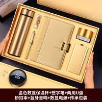 Золотой комплект, блок питания, USB-флеш-накопитель, бежевая подарочная коробка