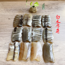 White buffalo horn scraping board whole body scraping beauty face neck back shoulder neck scraping stovepipe breast beauty