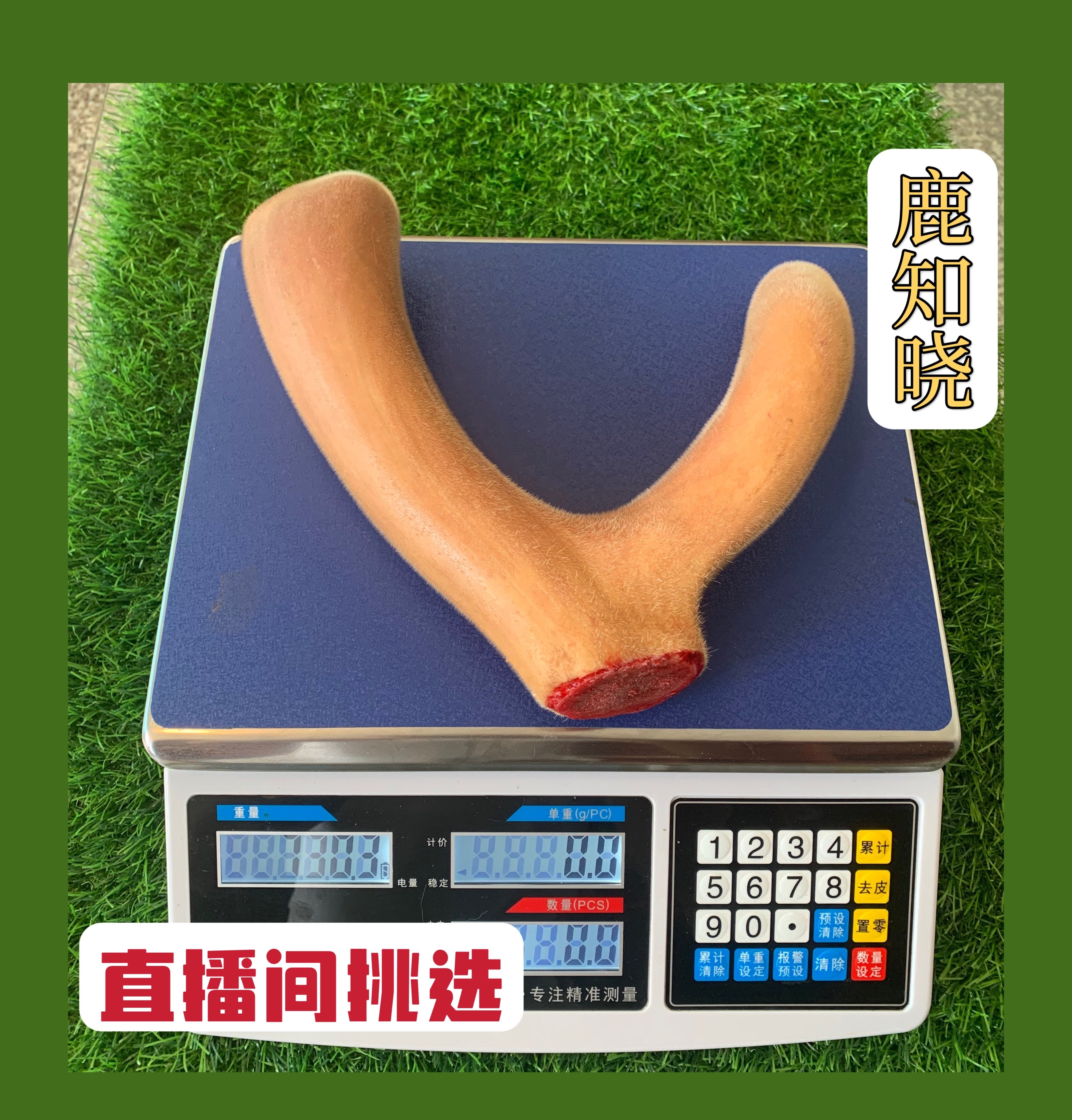 Deer Know Plum Blossom Deer Fresh Antler Default Whole Hair can cut free with knife Shuangyang Origin-Taobao