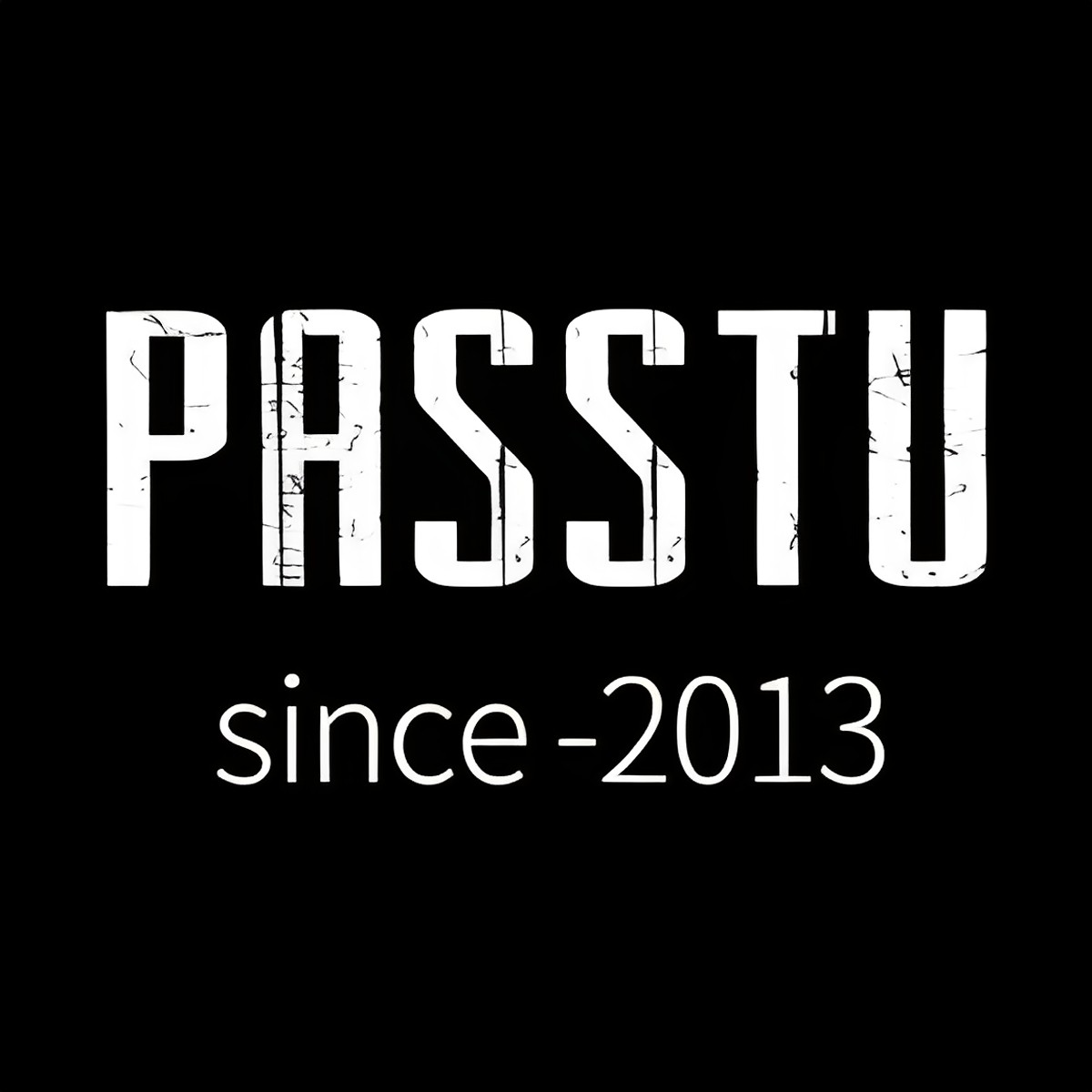 PASSTU高端行李箱的LOGO