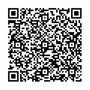 Telecommande - pointeur laser - Ref 385519 Image 3
