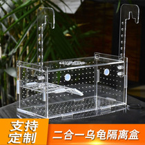 Acrylic transparent turtle terrace hatching box seawater fish tank isolation box custom-made hook suction cup isolation box