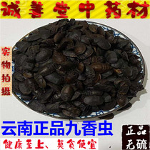 Jiuxiangworm Chinese herbal medicine Yunnan Jiuxiangworm fart bug stinky shell worm 500g