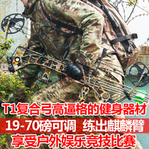 Official direct apex T1 composite bow arrow set reverse curved straight bow outdoor shooting entertainment competitive archery equipment