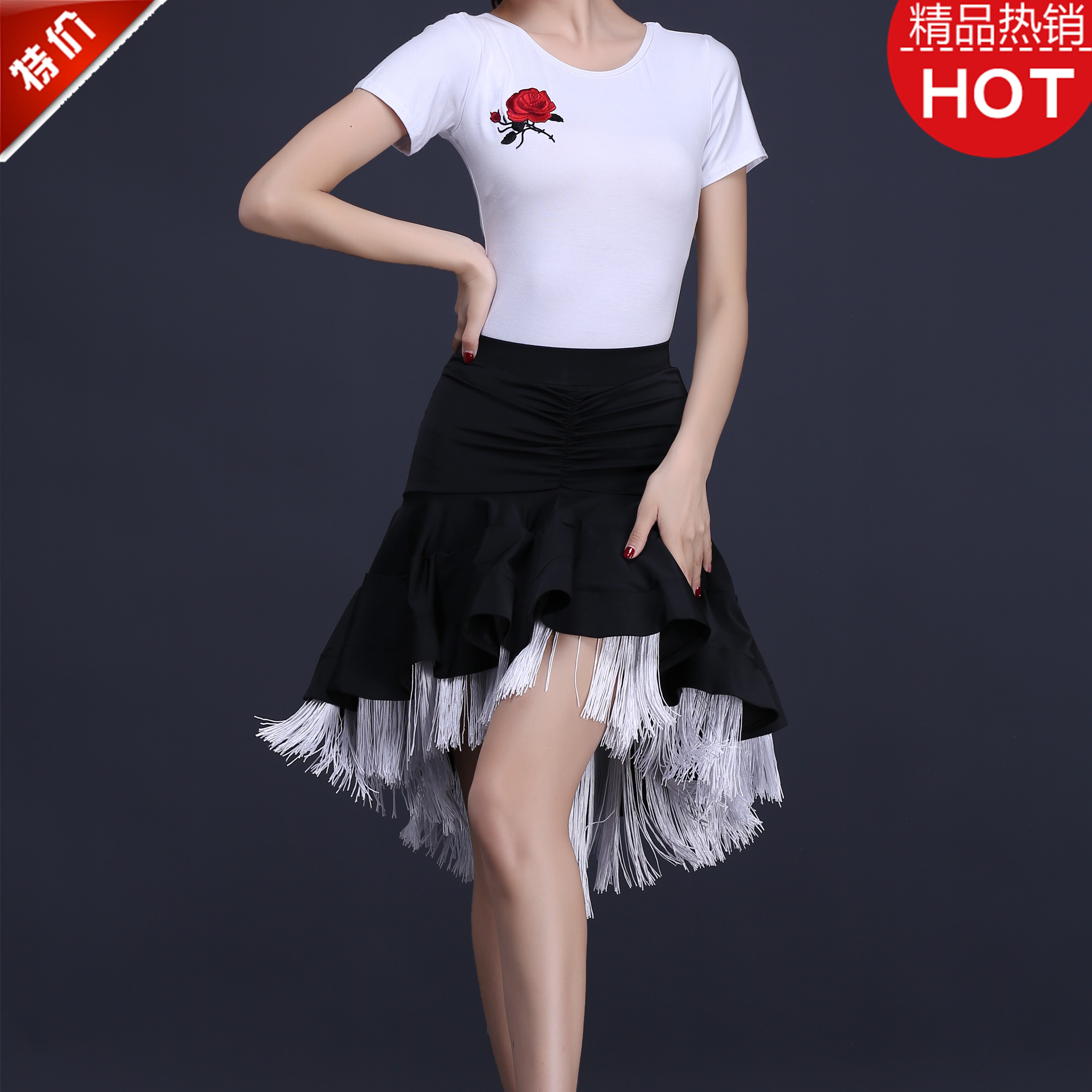 Latin dance skirt new adult female cha-cha rumba skirt large swing skirt sexy tassel dance performance costume spring