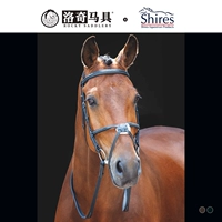 Износостойкая водная шлейка Blakely из 8-значной воловьей кожи British Shires-Salisbury 8208044