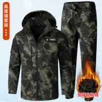 Хлопковая резинка 8801 руины плюс бархатный костюм