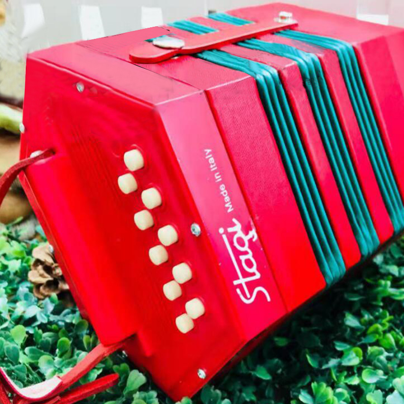 [USD 351.61] Hexagonal accordion retro 30key 20key children's band