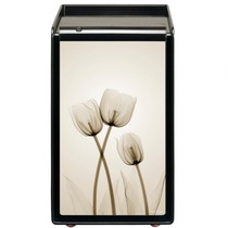 Original imported South Korea Lexier LuCell LU-2000BT household fingerprint fire safe safe