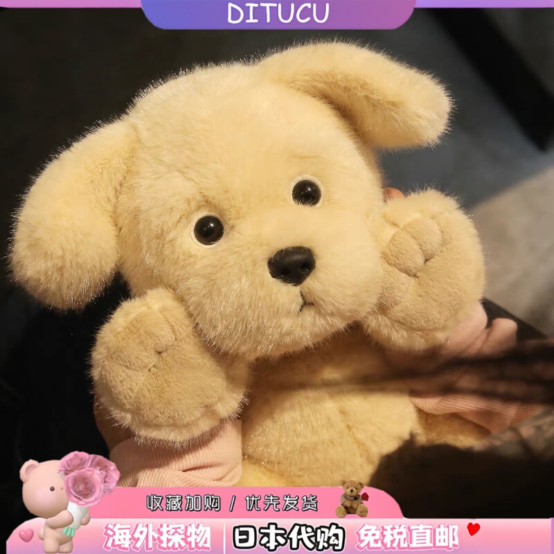 Japanese Ditucu Golden Retriever Dog Plush Toy Husky Teddy Shiba Inu Doll Children's Birthday Gift