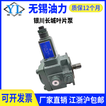 Yinchuan Great Wall vane pump YBX-10A(V3)20V3VPC-20 VUP-16 TY10F YBN1 YB1