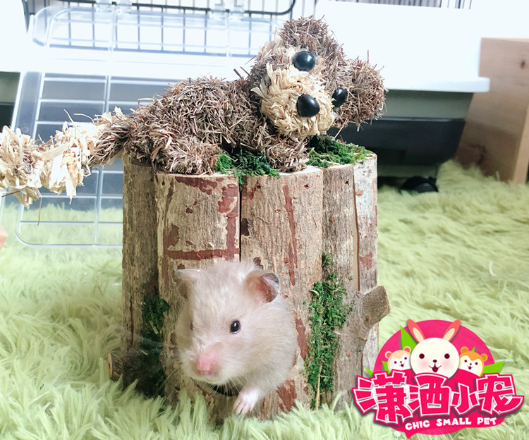 (Carefree Little Darling) Can Hang Corn Leafy Wooden House Wooden House Warm Nest Hamster Golden Silk Bear Flowers