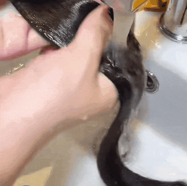 DM_20260617101950_020.gif