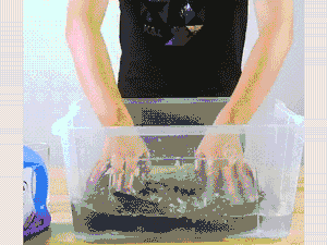 DM_20251027115636_024.gif