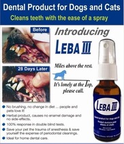 Spot Canada Leba III pet special tooth guard spray effectively remove tartar calculus