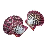 Натуральная раковина раковина масляна раковина, красная стена раковины, свадебное украшение рыбная аквариум -ландшафт