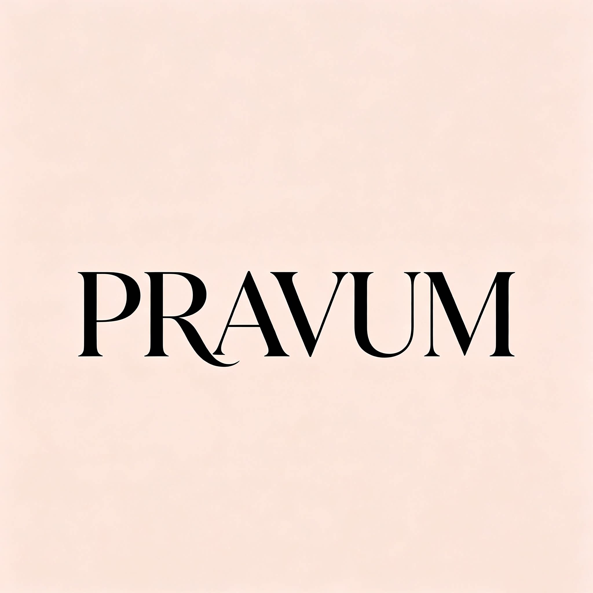PRAVUM工厂自产女装仓