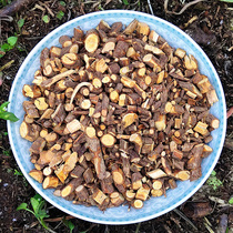 Rock Masang Fine Root Guizhou Wild Chinese Herbal Medicine Iron Chopsticks Root Cliff Masan 500 gr