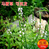 Verbena Chinese herbal medicine tea wild powder dried iron horse whip horse side grass horse whip slightly new goods 500g