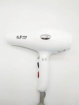 Fengwu 9888 hair dryer hair salon barber shop high-power hot and cold air blower student dormitory does not hurt hair