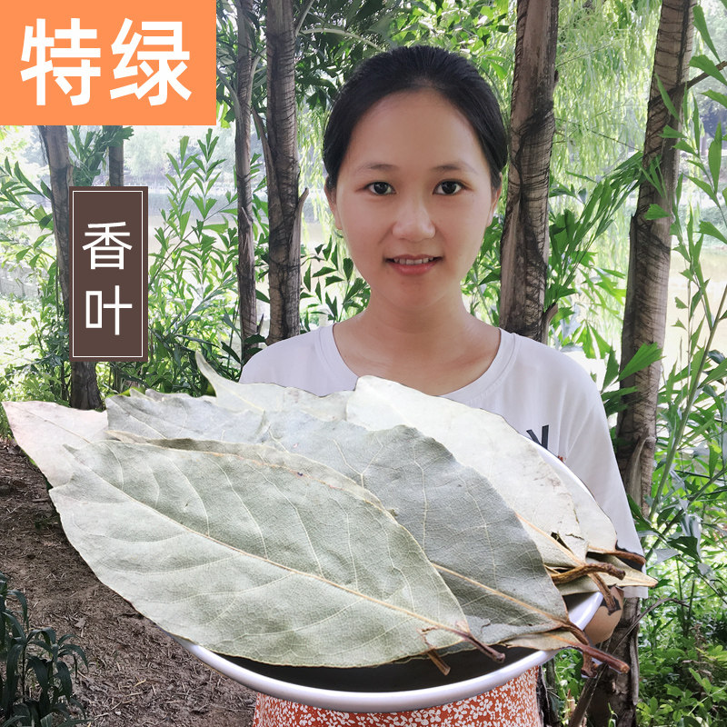 Extra green large piece of fresh fragrant leaves in bulk 500 grams of spice seasoning Daquan stewed Sichuan hot pot with star anise cinnamon
