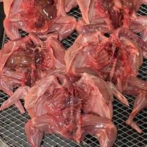 Dasongshan French giant quail 5 pieces head and claws removed pet snacks dried raw meat and bone ingredients