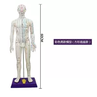 Красочный большой белый человек