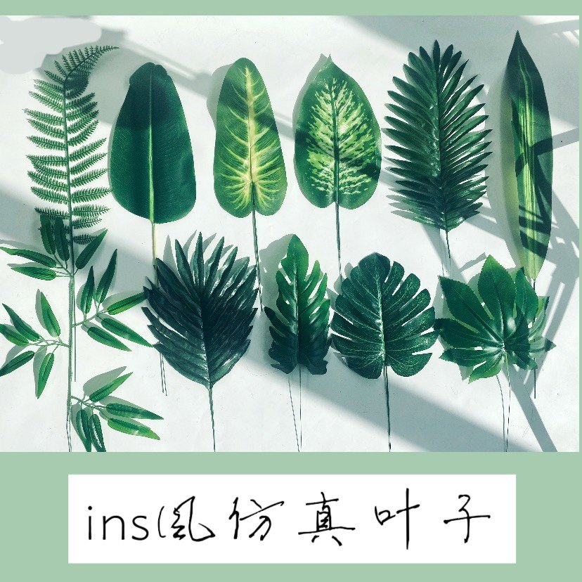 Kindergarten School Wall Area Corner Arrangement Decoration Ins Nordic Small Clear New Red Emulation Green Large Leaf Fabric