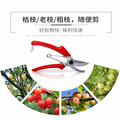 ARS爱丽斯中国上海店