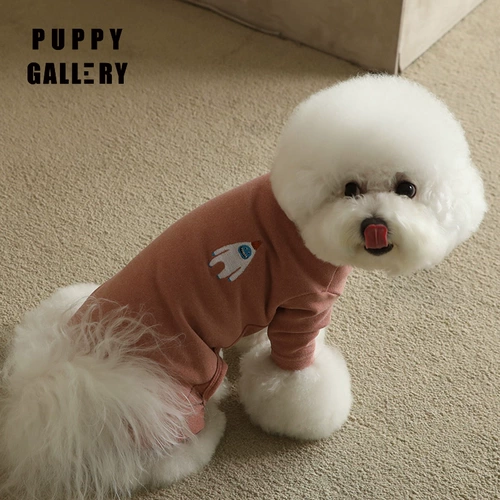 Галерея щенка Южной Кореи, Говорящий четырехпроизводительный плюшевый медвежь