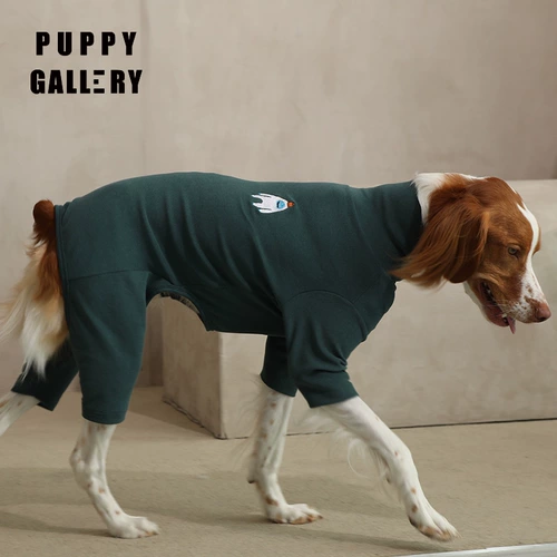 Галерея щенка Южной Кореи, Говорящий четырехпроизводительный плюшевый медвежь