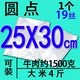 Точка 19 шелк 25*30