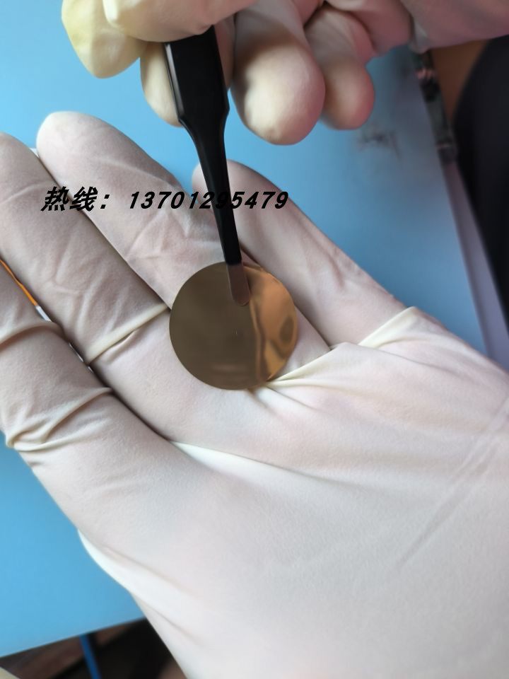 美国Stelitech镀金聚碳酸酯微孔滤膜25mm 0.4um 1270005/1270004