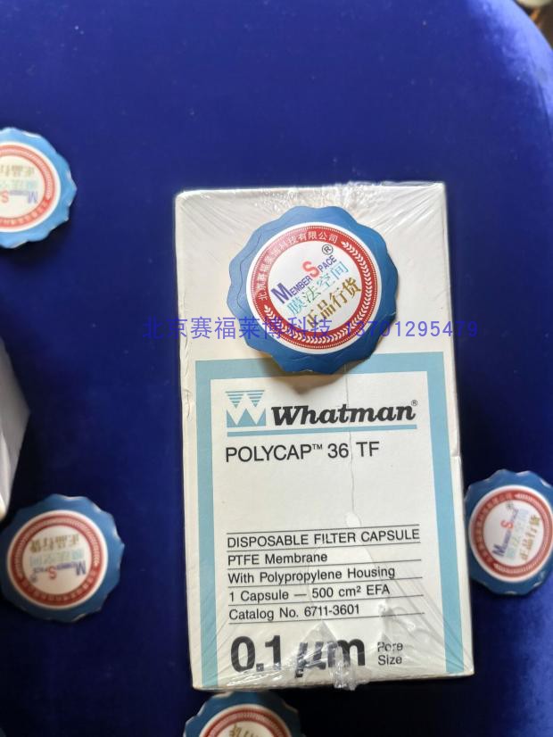 Whatman Polycap 36TF精细囊式过滤器 PTFE 0.1um 耐腐蚀