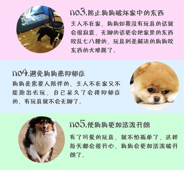 Chó đồ chơi sang trọng thú cưng đồ chơi mèo đồ chơi con chó mol cắn đồ chơi cắn jinmaotaidi răng đồ chơi đồ chơi cho chó rẻ