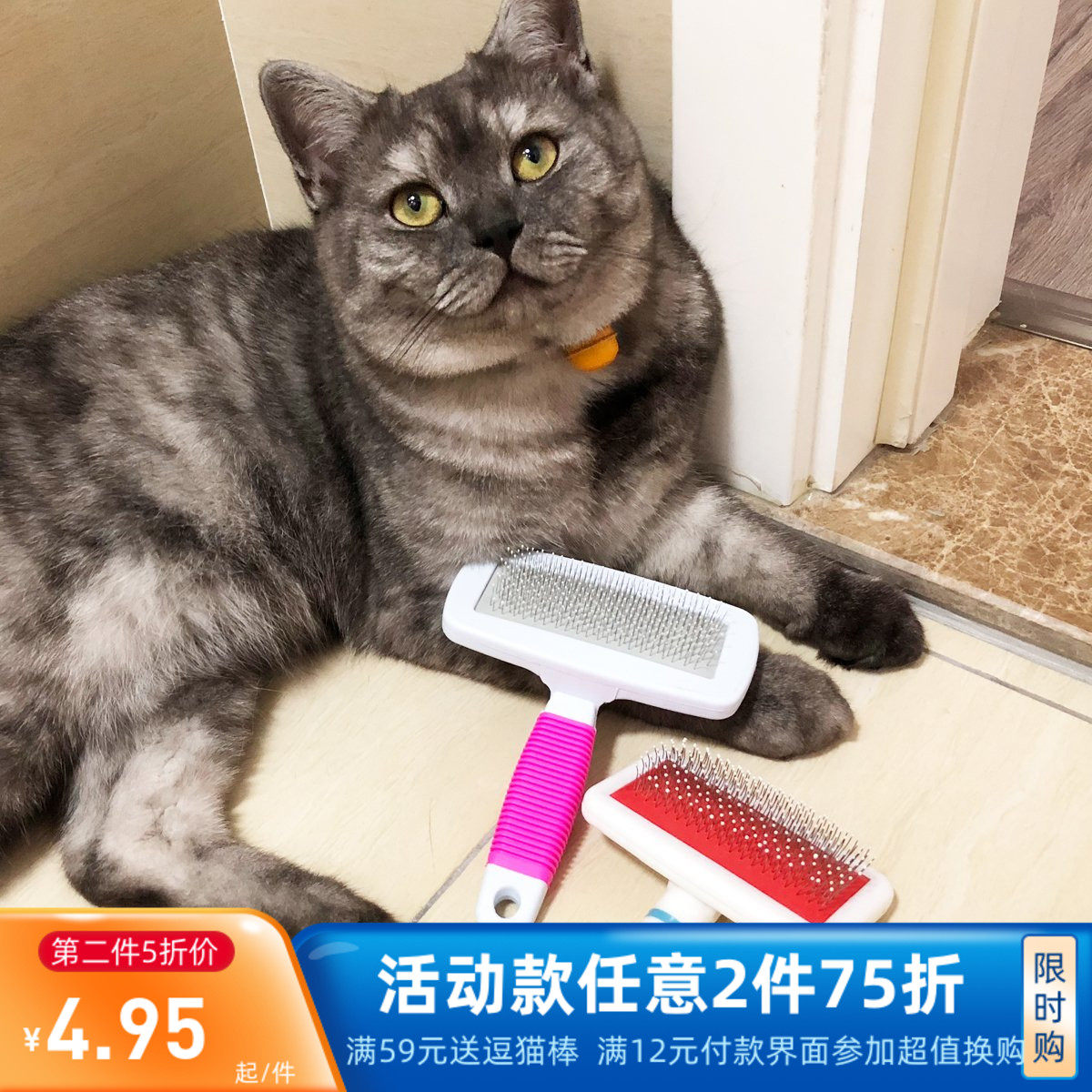 Cat family pet supplies short-haired cat dog brush needle comb hair remover brush hair removal to float hair comb
