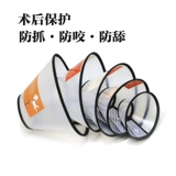 Элизабет Круг Корт Кошка и Добавая Крусь Круг Край, Кошка, Скалы, борьба с собаками Облизы