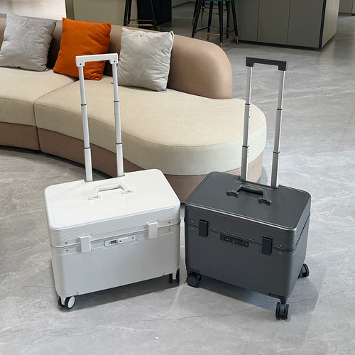 Чемодан, 20 дюймов, горизонтальная версия, 22 дюймов, 24 дюймов