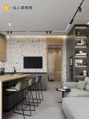 Cactus lighting Without main light lighting Magnetic track light Embedded concealed living room ultra-thin LED spotlight