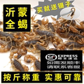 沂蒙全蝎店的LOGO