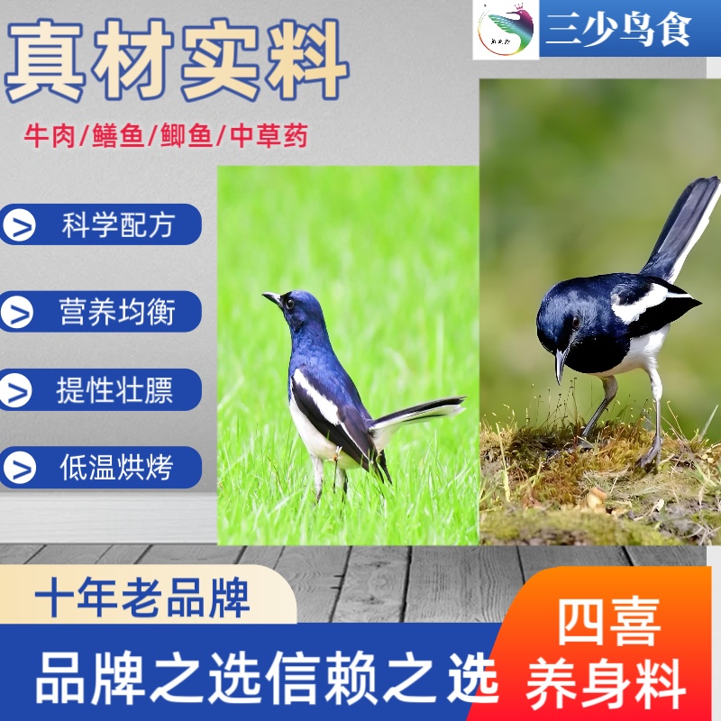 San Shao 鳥用フード Four Joy 鳥用フード 餌 カササギ ロビン ペット鳥用 デイリーフード Four Joy 鳥用フード 450 グラム 2袋 送料無料
