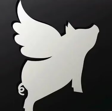 飞非猪无人直播大全