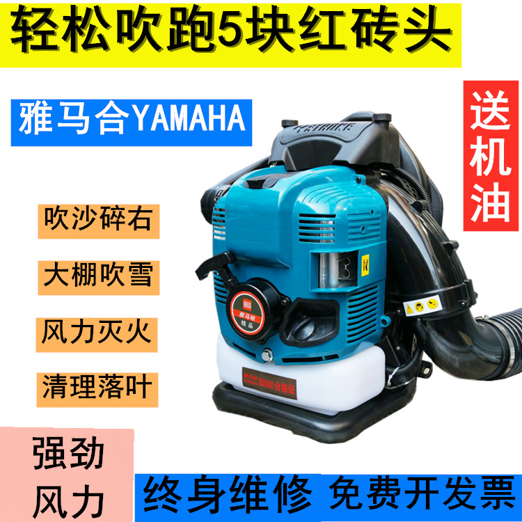 Mountain Leaf Petrol Hairdryer negative four stroke Greenhouse Blow Snow Machine Road Drop Leaf site Ash Road Sweeping
