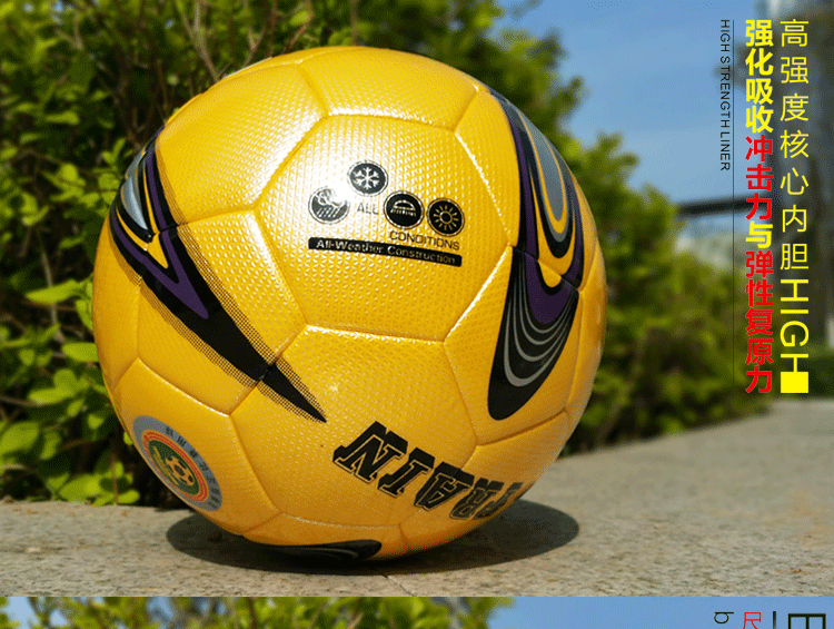 Ballon de football - Ref 6604 Image 9